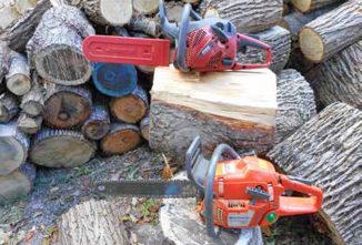 Buying a Chainsaw? Which One?
